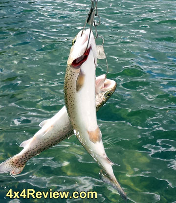 fishing-loon-lake