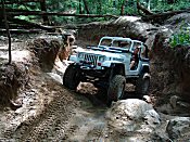 Tellico 4x4 Jessi Combs xTreme 4x4