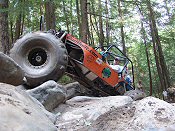 Tellico 4x4 Jessi Combs xTreme 4x4