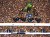 Hi-Lift's Slide-n-Lock tie down system