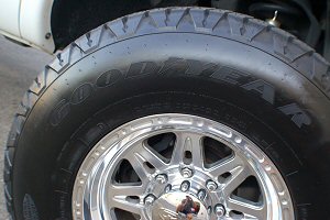 Allied Raceline Renegad