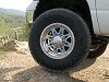 Allied Raceline Tenegade 8 Wheels