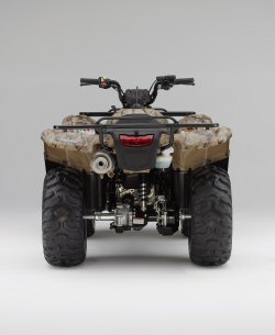2007 Honda Rancher