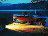 White Night Rear Lighting System